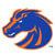 Boise State Logo